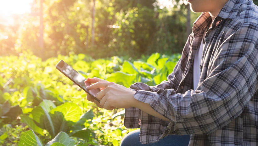 Tokenização no agronegócio: conheça os benefícios!