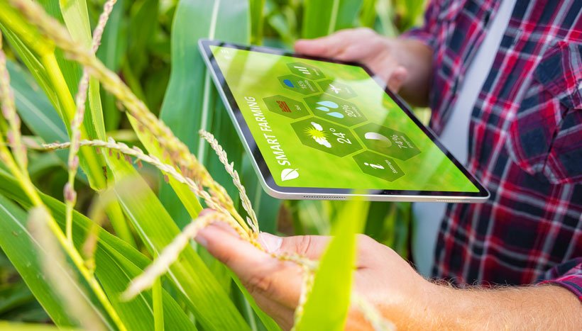 O ano do Fiagro: como os tokens podem modernizar o investimento na agroindústria em 2023