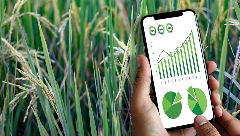 Perspectivas positivas para o agro brasileiro podem ser impulsionadas pela tokenização!